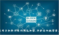 如何使用手机软件进行钱包加密，保护您的数字