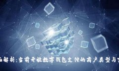 全面解析：当前开放数字钱包支付的商户类型与