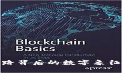 探究钱包纹路背后的数字象征与文化意义