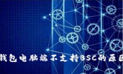 深入解析TP钱包电脑端不支持BSC的原因与解决方案