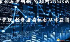    一文了解SNGls虚拟币：特点、用途及投资前景