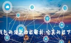 数字钱包的借款功能解析：它真的能下款吗？