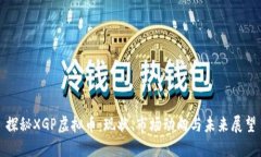 探秘XGP虚拟币：现状、市场动向与未来展望