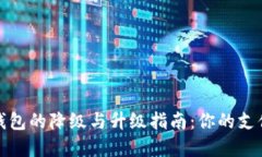 数字钱包的降级与升级指南：你的支付方式