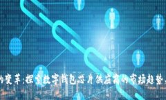 未来支付的变革：探索数字钱包芯片供应商的市