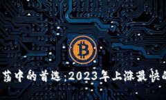 2023年市场动荡中的首选：2023年上涨最快的虚拟货