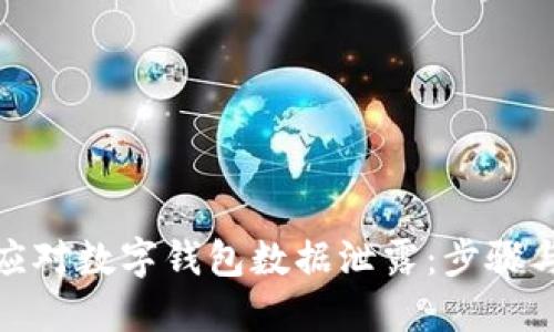 如何应对数字钱包数据泄露：步骤与建议