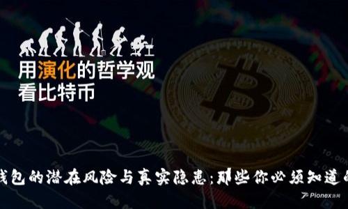 数字钱包的潜在风险与真实隐患：那些你必须知道的陷阱