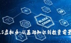 深入探讨MLS虚拟币：从基础知识到投资前景的全