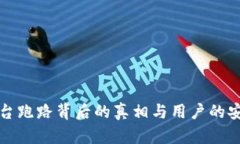 数字钱包平台跑路背后的真相与用户的安全防护