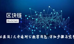 如何以最低1元开通对公数字钱包：详细步骤与完